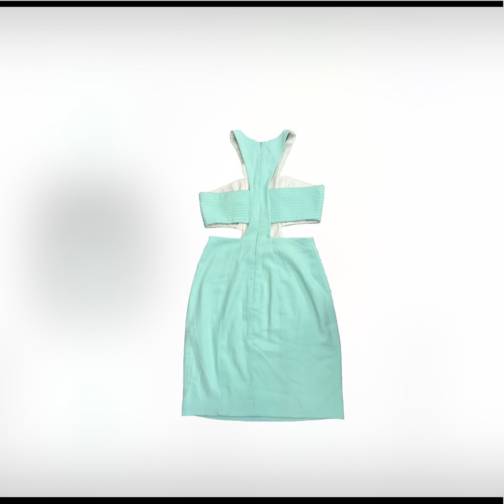 NWT Jay Godfrey Elmore Dress colour Fair Aqua size 4 . - Picture 2 of 3